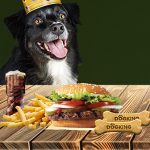 El rey de las hamburguesas lanza Dogking, pensado en el mejor amigo del hombre